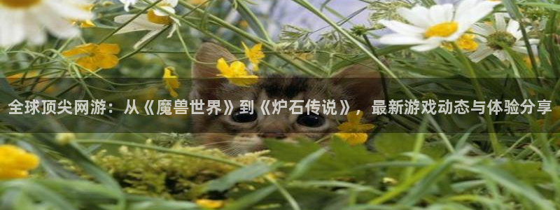 优贝娱乐登录网址：全球顶尖网游：从《魔兽世界》到《炉石传说》