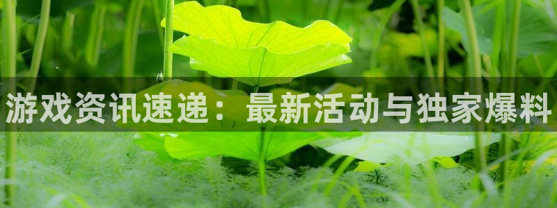 优贝娱乐网址官网：游戏资讯速递：最新活动与独家爆料