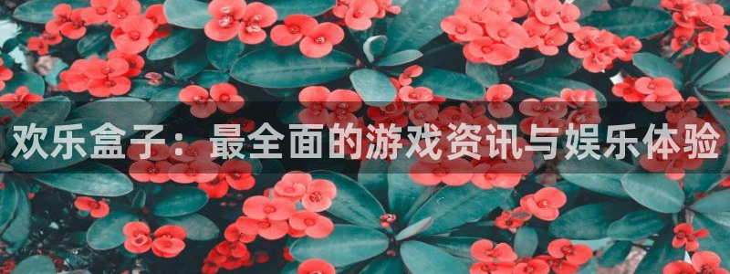 优贝娱乐注册地址：欢乐盒子：最全面的游戏资讯与娱乐体验