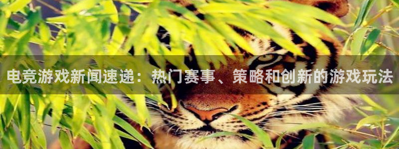 优贝娱乐升级5994月：电竞游戏新闻速递：热门赛事、策略和创