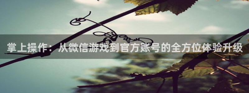 优贝娱乐官网：掌上操作：从微信游戏到官方账号的全方位体验升级