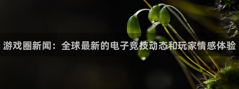 优贝娱乐4主管：游戏圈新闻：全球最新的电子竞技动态和玩家情感