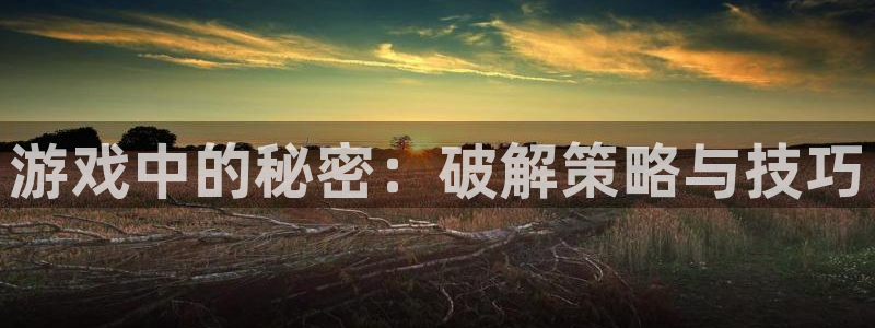 优贝娱乐官方平台：游戏中的秘密：破解策略与技巧