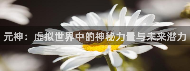 优贝娱乐直属：元神：虚拟世界中的神秘力量与未来潜力